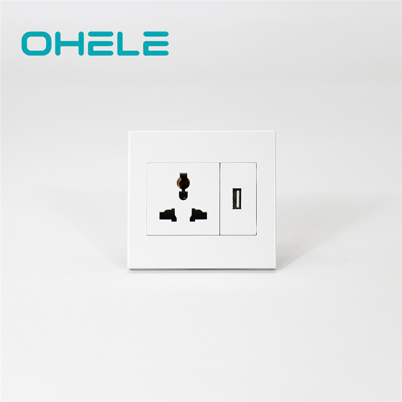 Chinese wholesale Amps In A Wall Socket - 1 Gang Multi-function Socket+1 Gang USB – Ohom