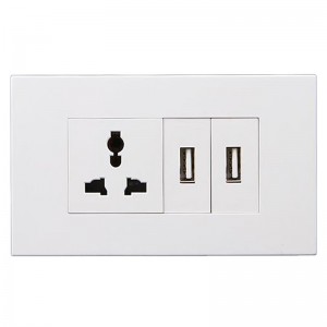 Wholesale Different Types Of Wall Sockets - 1 Gang Multi-function Socket+2 Gang USB – Ohom